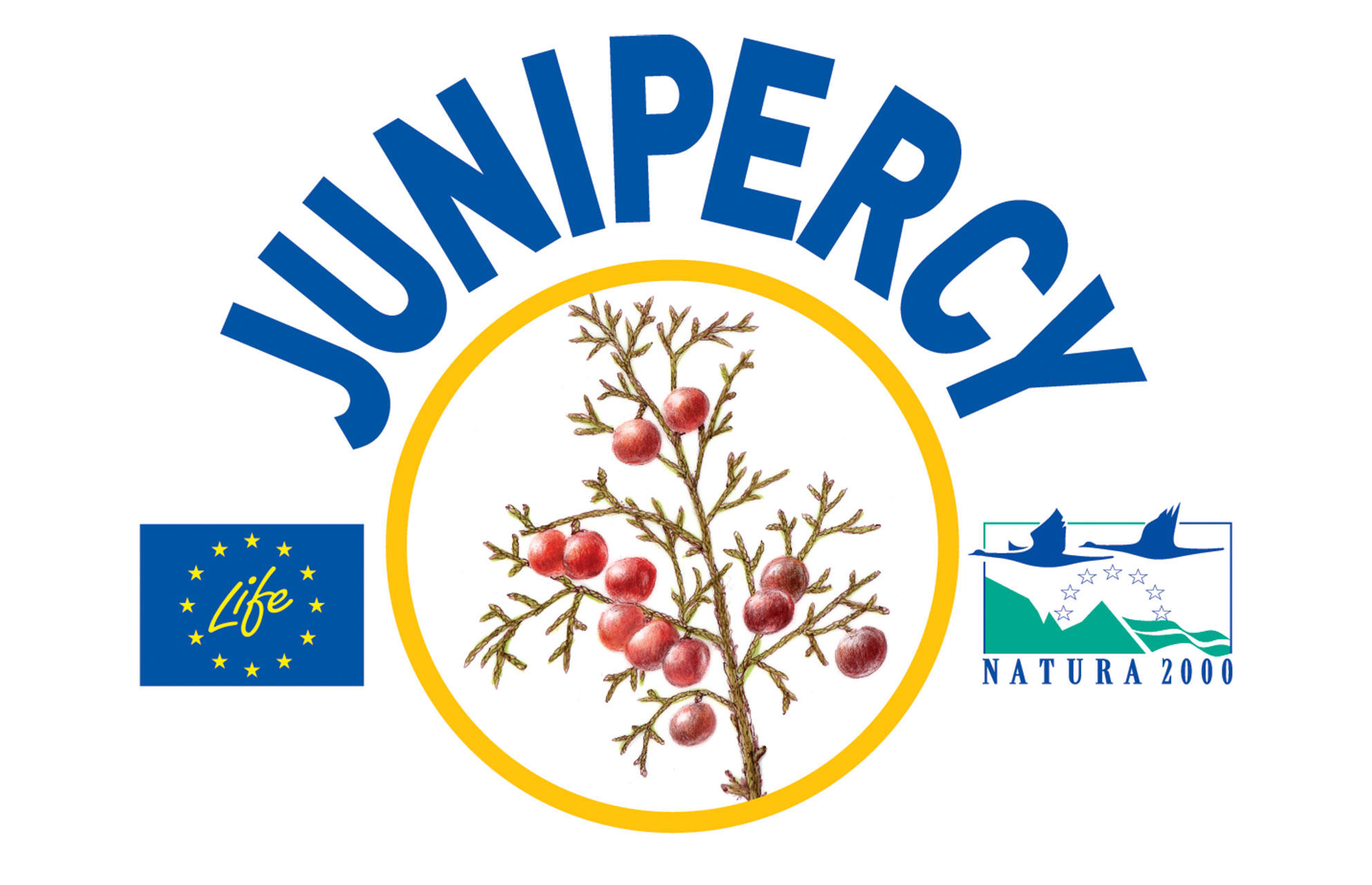 JUNIPERCY