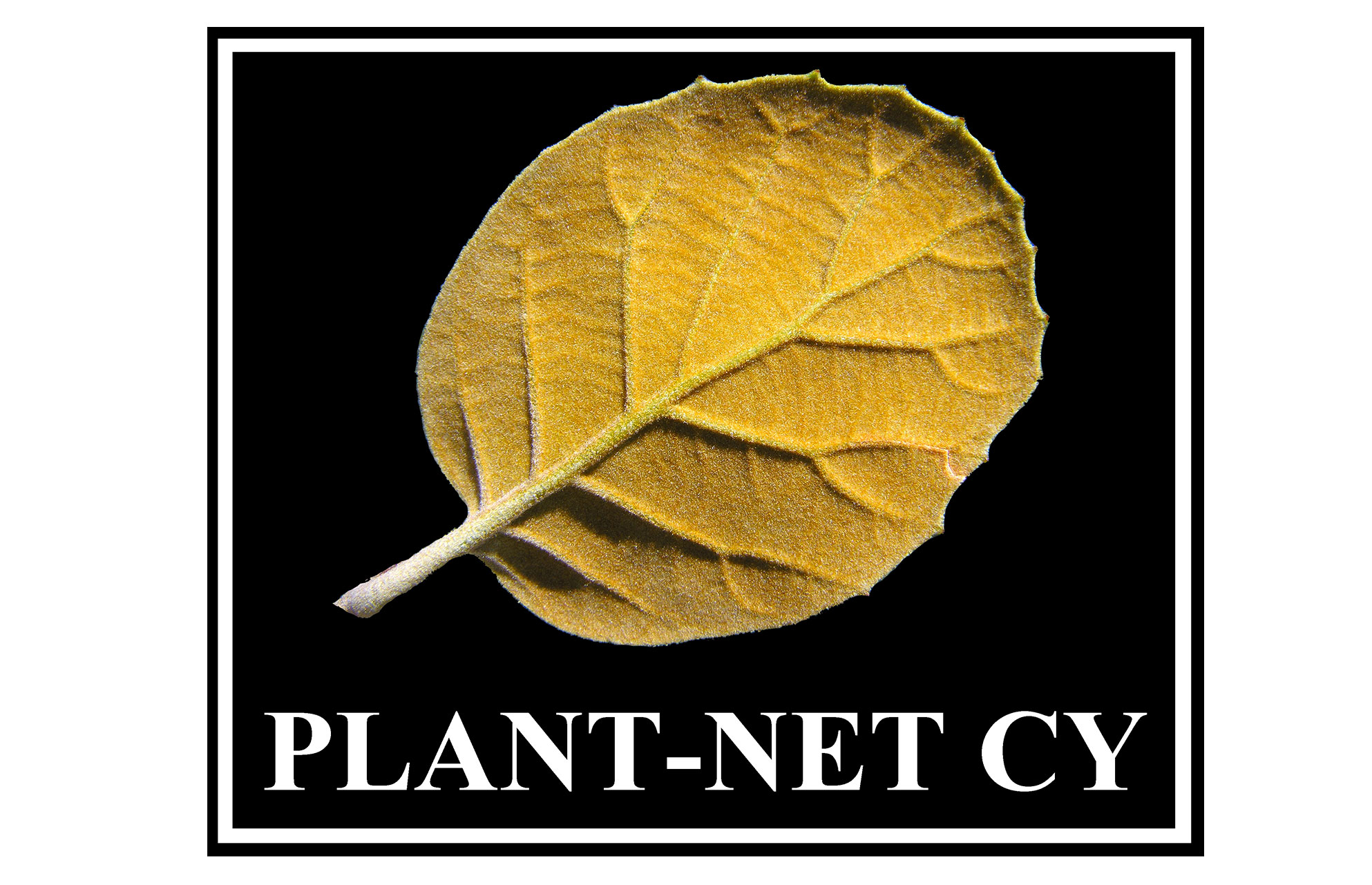 PLANT-NET CY
